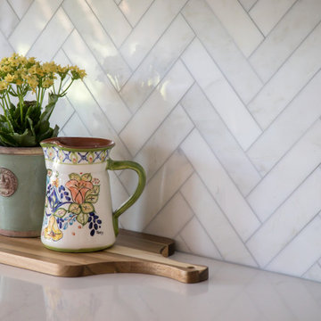 Highlands Ranch Sleek Transitional Kitchen