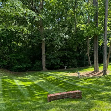 Lawn Maintenance