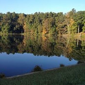 Joe Berdiel's photo