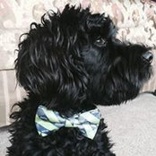 Tanna Huntley's photo
