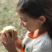 Bridget Sweeney Marino's photo