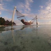 Laura Foty's photo