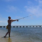 Erick Fields's photo