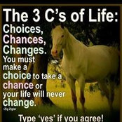 Lynette Moore's photo