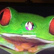 Eva Sternbauer's photo