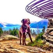 Glenn Roberts's photo