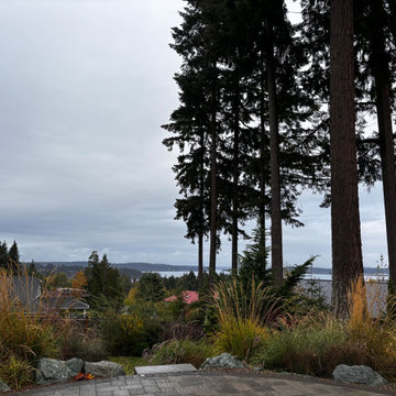 Puget Sound Water View