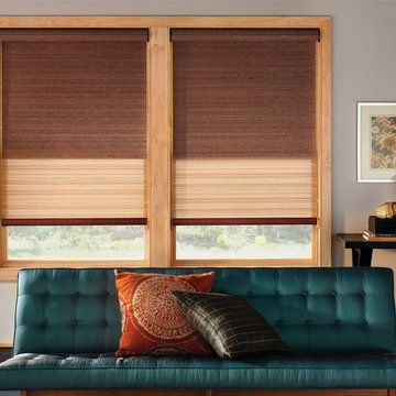 Rockin' Roller Shades
