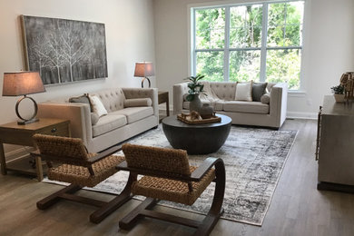 Example of a minimalist living room design in Detroit