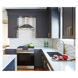 Glorious Graphite - Transitional - Kitchen - Chicago - by Kane Home ...