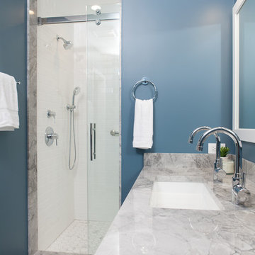 Libertyville Master Suite & Hall Bath Renovation