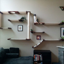 Cat furniture