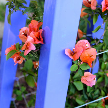Akoris Garden Tuteur by Terra Trellis