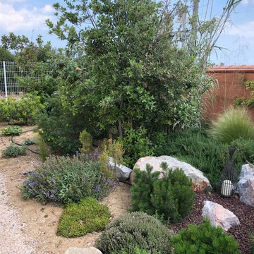 Une Villa paysagère et sa piscine biologique