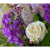 Sue Hecker's photo