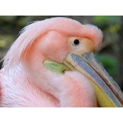 Joni Nugent-Parker's photo