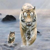 Mark Hernandez's photo