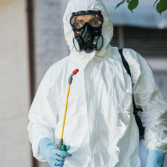 Mizzou Termite Removal Experts