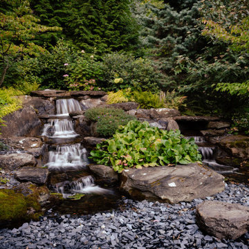 Zen Garden