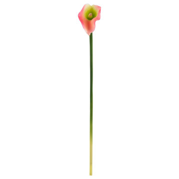 Nearly Natural 19.5" Calla Lily Artificial Flower (Set of 12)