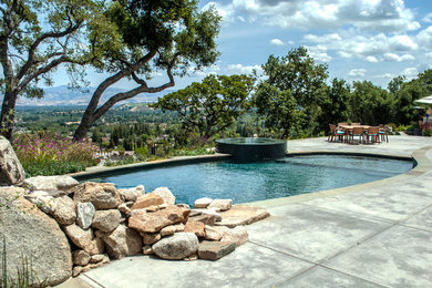 This is an example of a large contemporary backyard custom-shaped natural pool in San Francisco with natural stone pavers.