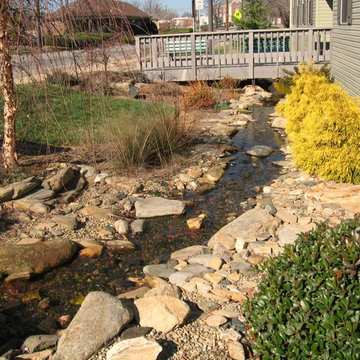 Ponds & Streams