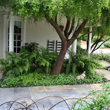 Bottom of garden