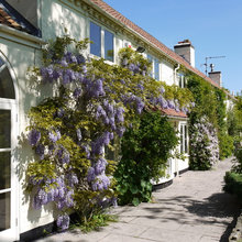 Cottage Exterior