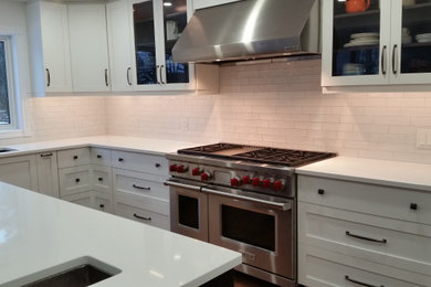 Kitchen - transitional kitchen idea in Other