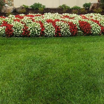 The Lawn Butler
