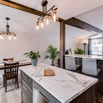 Saskatoon, Renovation - Mist