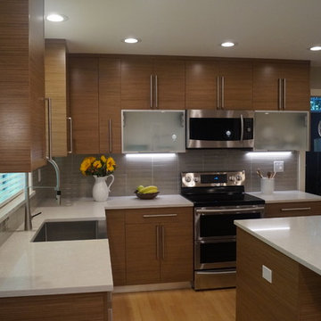 Kitchen Renovation