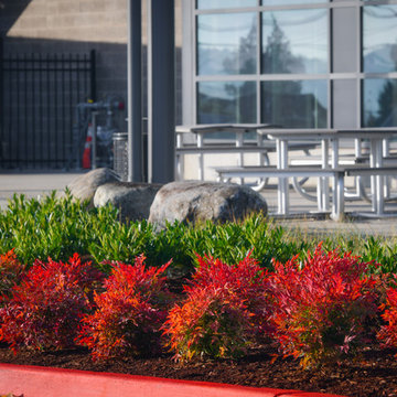 COMMERCIAL LANDSCAPE SERVICES