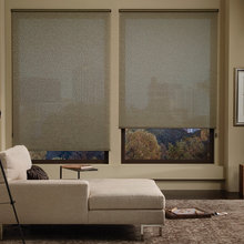 window shades