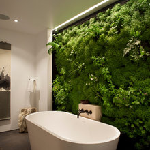 Plant wall
