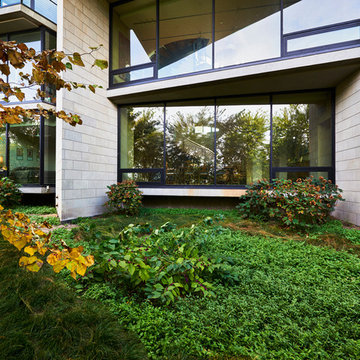 Shaded back area with native plants and biofilter
