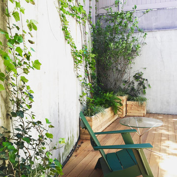Carroll Gardens Duplex Landscapes