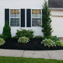 Landscape Ideas
