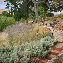 Landscape Steps