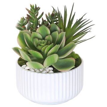 Succulents Arrangement With White Rocks, White Pot