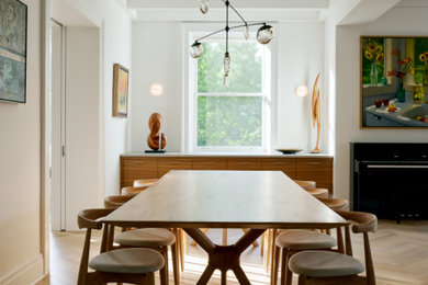 Dining room - modern dining room idea in New York