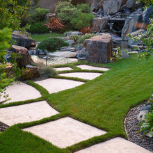 Backyard SAC