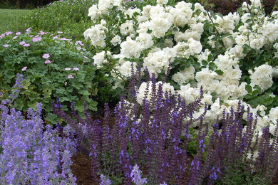 Design ideas for a landscaping in San Francisco.