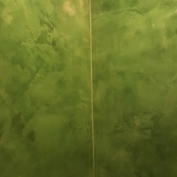Mr. & Mrs. Hoffman's Venetian Plaster