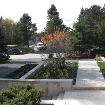 Northern Grassy Knoll