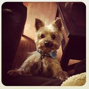 David Nalls's photo