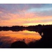 Terry Taylor's photo
