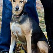 Schuyler Sampson's photo