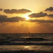 Viktoria Margolin's photo