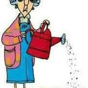 Marilyn Sheaters's photo